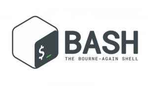 lập trình bash shell