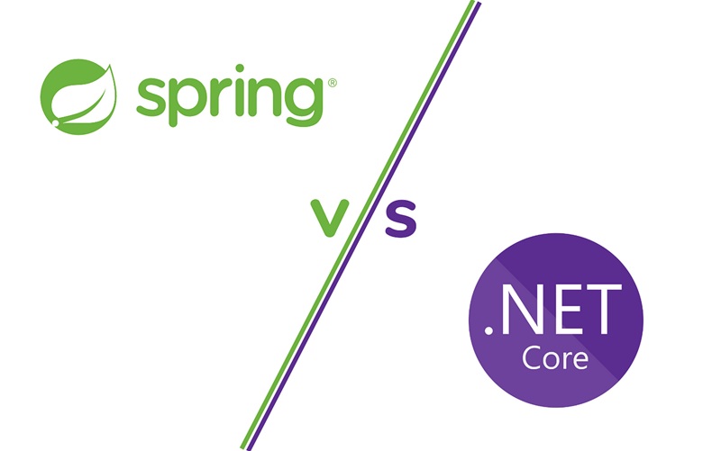 java spring va net